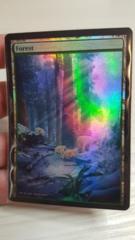 Forest Foil Extended (Winter Themed)